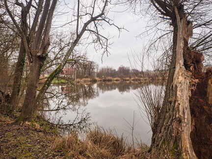 20220123160553-a07fd41b